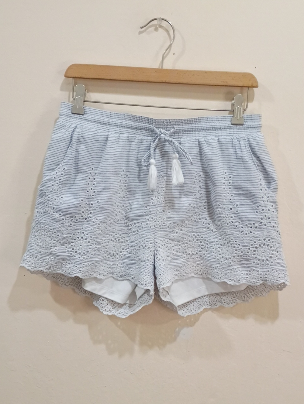 Francesca's Blue Rain light blue and white striped eyelet shorts, Size L